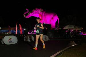 BIB: 
                            <button type="button" onclick="openModal(26542972)" class="btn btn-primary btn-sm float-right btn-popup" data-toggle="modal" data-target=".modal-high-quality">
                        <i class="fas fa-shopping-cart"></i> Add to Cart
                    </button>
                                            <button type="button" onclick="isThisMe(26542972, true)" class="btn btn-success btn-sm float-right btn-popup btn-isme hidden" data-toggle="tooltip" data-placement="bottom" title="นี่คือรูปของคุณใช่ไหม คลิกที่นี่เพื่อเอาเข้าอัลบั้ม">
                        <i class="fas fa-plus"></i> Add to album
                    </button>
                    <button type="button" onclick="isThisMe(26542972, false)" class="btn btn-warning btn-sm float-right btn-popup btn-isnotme hidden">
                        <i class="fas fa-ban"></i> Remove from album
                    </button>